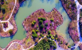 Ry&scaron;kiaspalvių pavasario žiedų i&scaron;margintas parkas Kinijoje i&scaron; oro
