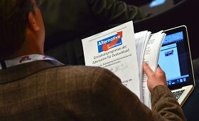Vokietijos de&scaron;iniojo sparno AfD priėmė antiislami&scaron;ką manifestą