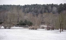 Į Vilnių sugrįžo sniegas