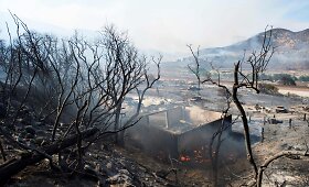 Kalifornijoje siaučiant dideliems krūmynų gaisrams paskelbta didelė evakuacija