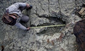 Bolivijoje rasti dinozaurų pėdsakai traukia turistus