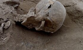 Kenijoje rastos seniausios žmonių, žuvusių ginkluoto susirėmimo metu, fosilijos