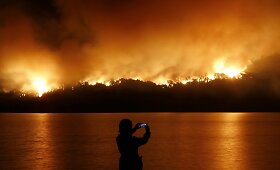 Argentinoje ugnis niokojo Alerseso nacionalinį parką