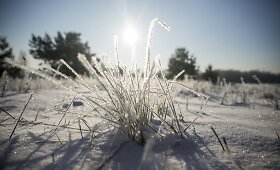 Vilnių sustingdė &scaron;altis
