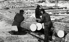 Gulagas &ndash; Sovietų Sąjungos priverstinio darbo stovyklų tinklas