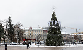 Statoma &scaron;ių metų Vilniaus Kalėdų eglė
