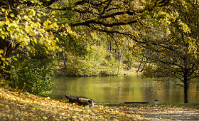 Rudens spalvose skendintis Markučių parkas