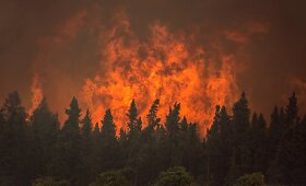 Kanadoje siaučia mi&scaron;kų gaisrai 