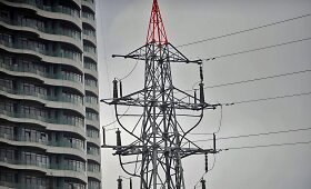 Dalyje Turkijos dingo elektra 