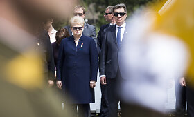 D. Grybauskaitė ir A. Butkevičiaus Vyriausybė