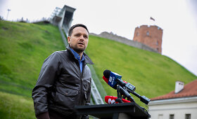 Gedimino kalno sutvarkymo projektavimo darbų eigos pristatymas