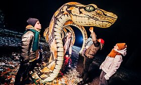 &Scaron;viesų festivalis &bdquo;Džiunglių knyga&ldquo;