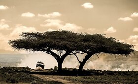 2024 m. WRC Safari ralis