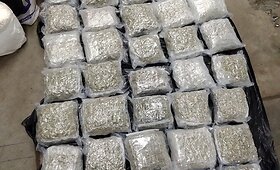 Amerikietis ir rusė sulaikyti gabenę didelį kiekį kanapių
