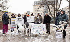 Pienininkų protestas prie Vyriausybės