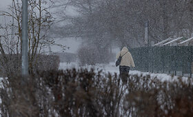 Vilniuje sninga, 2024-01-12