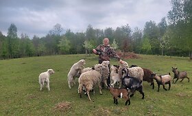 Molėtų kra&scaron;to magija: kaip miestiečių svajonės pildosi tarp avių, ežerų ir meno?
