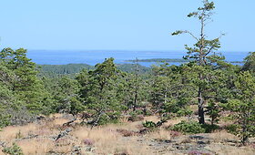 Alandų salos