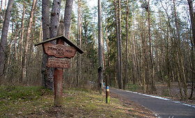 Žvėrinčiaus takas