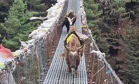 S.Vy&scaron;niausko kelionės į Everestą akimirkos (1)