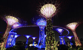 Singapūro sodai