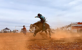 Rodeo Vait Klifse, Pietų Australija