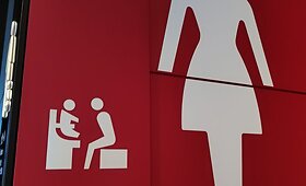 Lietuviai neteko žado pamatę Japonijos tualetus