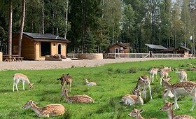 Kai&scaron;iadorių kra&scaron;to &scaron;eimos kuria i&scaron;skirtines sodybas: čia laimę randa ne tik vaikai