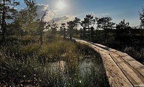 Pasivaik&scaron;čiojimas po Kemerių pelkę