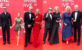Kino apdovanojimų &bdquo;Sidabrinė Gervė 2025&ldquo; svečiai