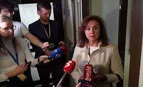 Daiva Petkevičienė apie kratas Seime: &bdquo;Nieko nežinau&ldquo;