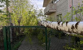 Gūsingo vėjo padariniai Vilniuje