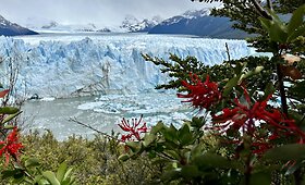 Meilė Argentinai &ndash; i&scaron; pirmo žvilgsnio: užburianti gamta, nepakartojami skoniai ir svaiginantis tango