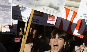 Protestas prie&scaron; ruonių medžioklę
