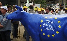 Briuselyje ūkininkų protestai prie&scaron; pieno kainų mažinimą