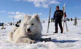 Pavasaris Norvegijos kalnuose 2