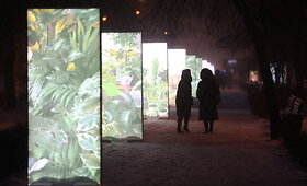 Vilniaus &scaron;viesų festivalis