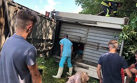 Greitkelyje Klaipėda&ndash;Kaunas vertėsi kiaules vežęs sunkvežimis