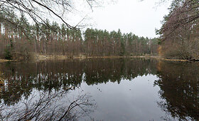 &bdquo;TrenkTuro&ldquo; Druskininkų žygis