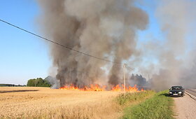 &Scaron;akių rajone sudegė rugių laukas