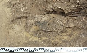 Archeologai ant Gedimino kalno rado paslaptingas kapavietes