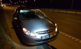 Prie Vilniaus du automobiliai susidūrė su briedžiu