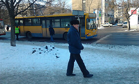 Sugedęs autobusas Vilniuje buvo sutrikdęs troleibusų eismą
