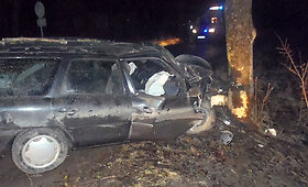 Girto vairuotojo automobilis Anyk&scaron;čių rajone rėžėsi į medį