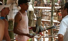 Gaidžių pe&scaron;tynės