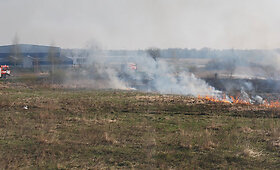 Skaitytojo galerija: Kauno rajone degė pieva