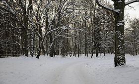 2010 m. žiema Verkių rūmų parke Vilniuje