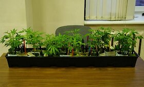 Vilniuje aptiktos ir sunaikintos trys kvai&scaron;alų  &bdquo;laboratorijos&ldquo;