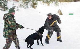 Tarnybiniai &scaron;unys mokomi sulaikyti nusikaltėlius 
