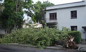 Vilnius po trumpos, bet smarkios audros